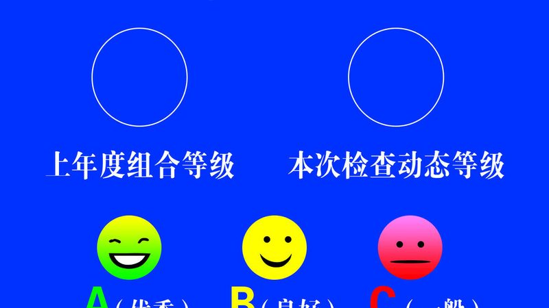 蜜饯果干品牌如何脱颖而出？揭秘行业排名背后的秘密
